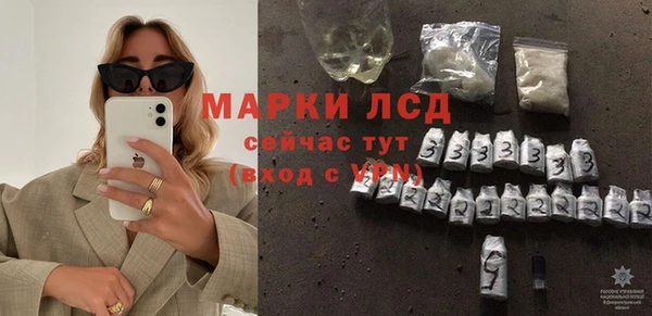 стаф Володарск