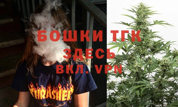 стаф Володарск