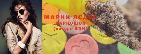 PSILOCYBIN Вязьма